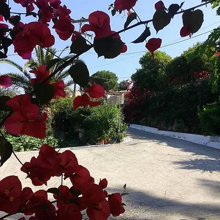 Raymondos * Lassi (Kefalonia)